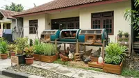 Cara Membuat Kandang Ayam Berputar dari Drum Bekas, Solusi Hemat Peternak Rumahan