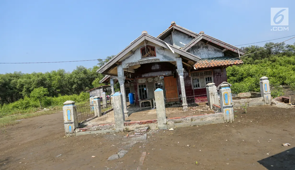 Sebuah rumah warga memilih bertahan meski ditinggal para penghuni di Desa Pantai Mekar, Kecamatan Muara Gembong, Bekasi, Kamis (20/6/2019). Puluhan rumah warga di Kampung Muarajaya RT01/RW01 Desa Pantai Mekar hilang tersapu air saat terjadi abrasi selama 10 tahun. (Liputan6.com/Fery Pradolo)