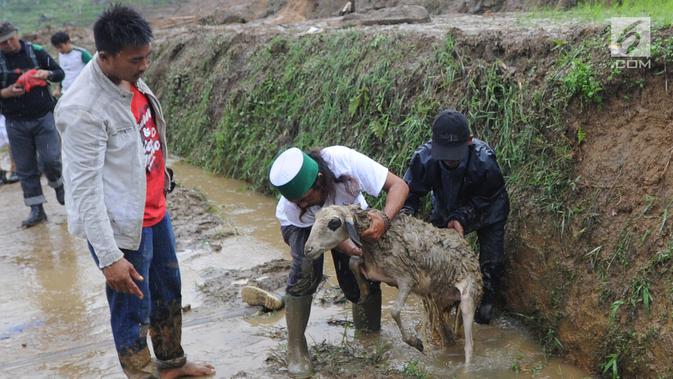 Warga memandikan seekor kambing usai diselamatkan dari timbunan longsor di Dusun Cimapag, Desa Sirnaresmi, Kecamatan Cisolok, Sukabumi, Selasa (1/1). Longsor menerjang Dusun Cimapag pada 31 Desember 2018. (Merdeka.com/Arie Basuki)