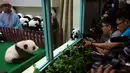 Awak media mengambil gambar bayi panda yang diperkenalkan di Kebun Binatang Malaysia, Kuala Lumpur, Sabtu (26/5). Panda betina yang belum diberi nama itu adalah keturunan kedua panda raksasa Liang Liang dan Xing Xing. (AP Photo/Vincent Thian)