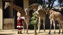 Seorang pria berpakaian Sinterklas memberikan hadiah berupa makanan kepada jerapah sebagai bagian dari tradisi Natal di Kebun Binatang La Aurora, Kota Guetemala, Selasa (20/12/2022). Menurut Manager kebun binatang tersebut, kegiatan ini sudah menjadi tradisi dari kandang. (Orlando ESTRADA / AFP)