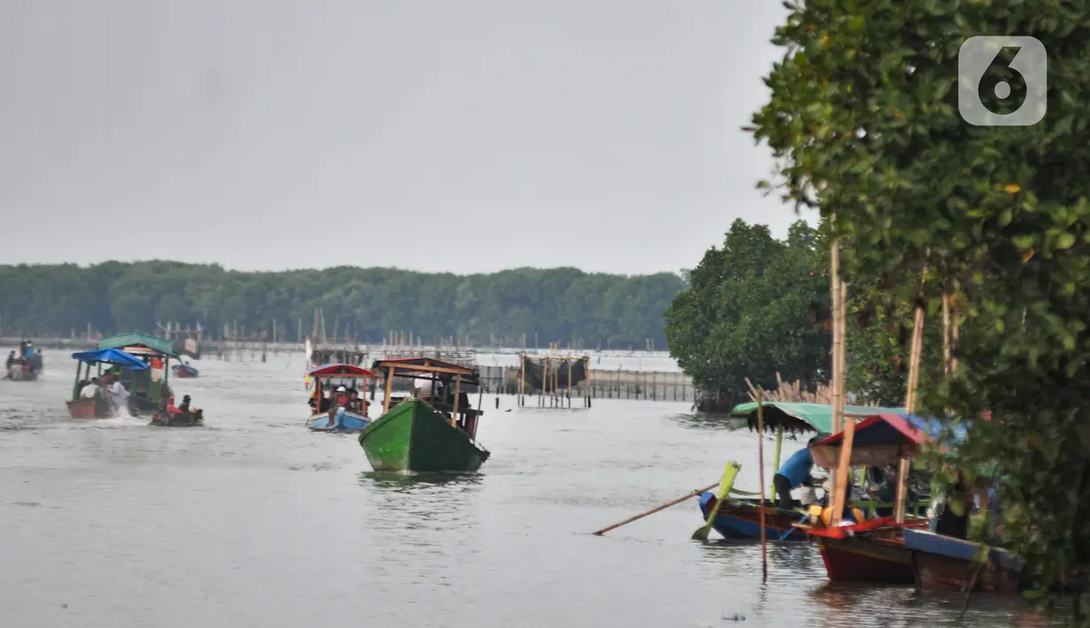 Suasana Taman Wisata Hutan Bakau (Mangrove) di Desa Segarajaya, Tarumajaya, Bekasi, Jawa Barat (24/11/2019). Taman wisata ini memliki ikon Jembatan Cinta yang menjadi salah satu destinasi favorit warga, baik dari dalam maupun luar Bekasi. (merdeka.com/Iqbal S. Nugroho)