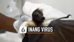 TV Virus
