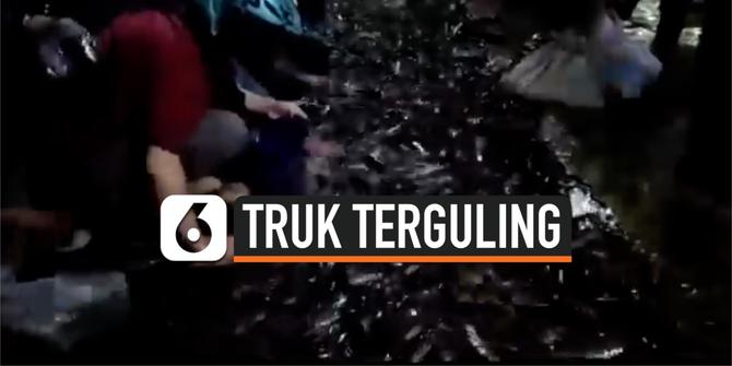 VIDEO: Heboh, Ribuan Lele Berserakan di Jalan Raya Tangerang Selatan