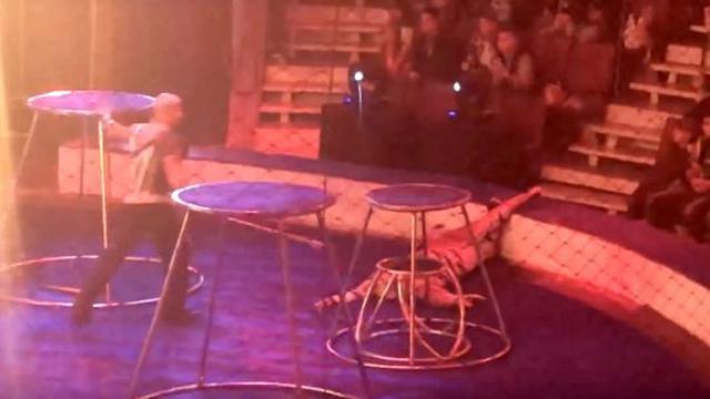 Akibat Atraksi Ring Api, Macan Sirkus Ini Pingsan