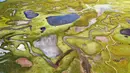 Foto dari udara yang diabadikan pada 28 September 2020 ini menunjukkan pemandangan lahan basah Lhato di Wilayah Konjo, Qamdo, Daerah Otonom Tibet, China barat daya. (Xinhua/Zhan Yan)