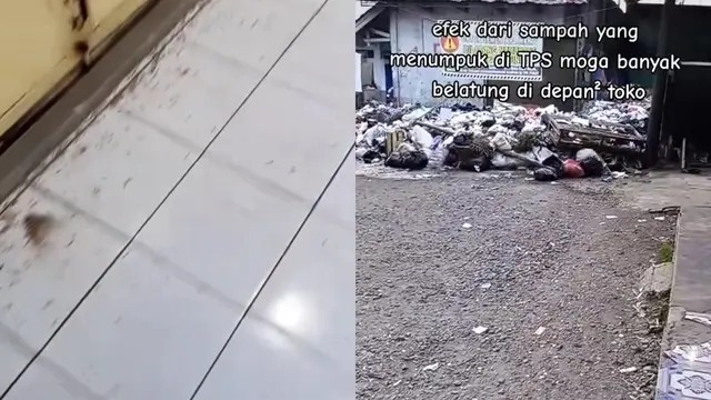 Warung Diserbu Belatung