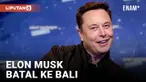 vertical elon
