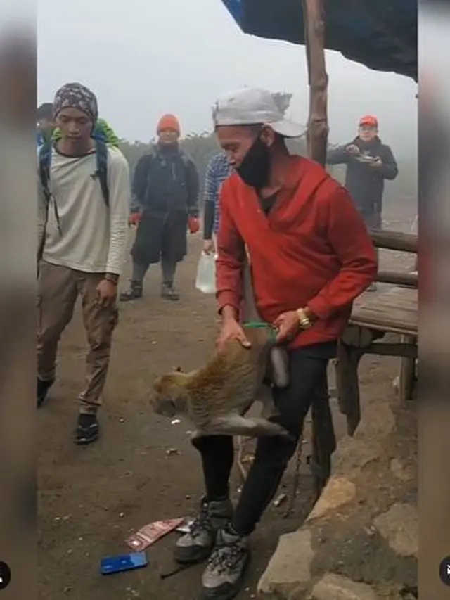 Seekor Monyet di Gunung Lawu Curi Ponsel Pendaki, Aksi Rebutannya Viral