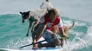 Chris de Aboitiz berselancar dengan kedua anjingnya di lepas pantai Palm, Sydney , (18/2). Dibutuhkan kedisplinan penuh untuk mengajari kedua anjingnya untuk bisa berselancar bersamannya. (REUTERS / Jason Reed)
