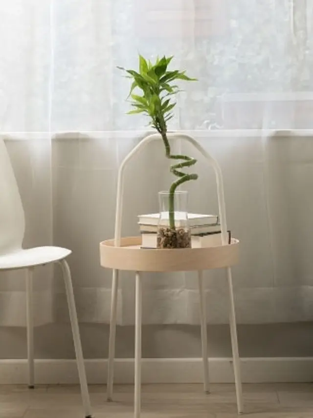 Tanaman hias untuk ciptakan atmosfer kamar mandi /dok. IKEA