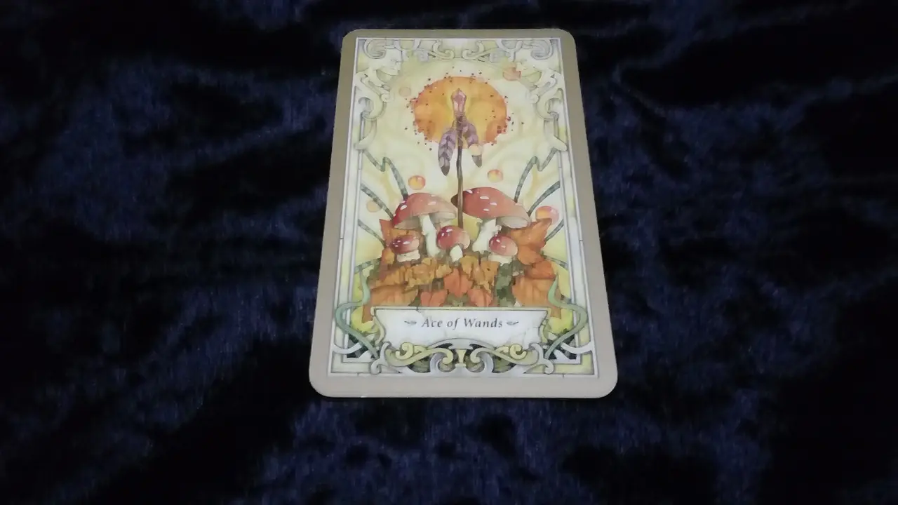Tarot Hari Ini
