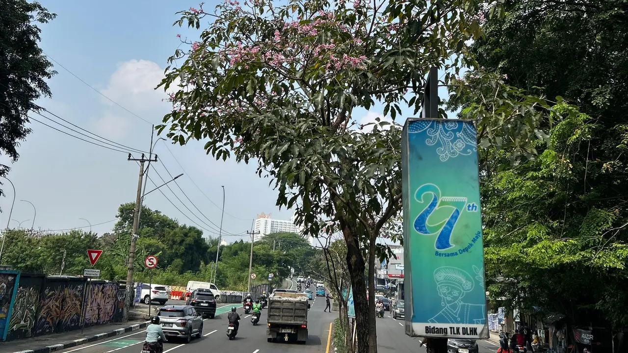 Bunga Tabebuya Mulai Bermunculan Bukti Nyata Blueprint Keindahan Kota Depok Oleh DLHK