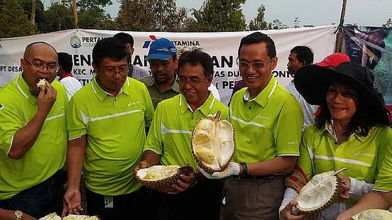 Panen Durian Monthong ala Pertamina dan Petani Boyolali