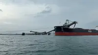 Vessel yang sedang bongkar muat batu bara di shiploader milik PT Indominco Mandiri. Meski padat dengan aktivitas bongkar muat, ekosistem pesisir laut di tempat ini terjaga dengan baik.