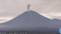 Erupsi Gunung Semeru kembali terjadi sebanyak 5 kali, dengan tinggi letusan Capai 900 Meter (Istimewa)