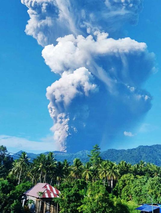Tim pencari dan penyelamat gabungan dari Basarnas, kepolisian, dan Badan Penanggulan Bencana Daerah (BPBD) sedang berupaya mengevakuasi sekitar 20 pendaki yang terjebak di kawasan gunung. Tampak dalam foto yang dirilis oleh Badan Nasional Penanggulangan Bencana Indonesia (BNPB) pada Jumat 8 Mei 2026 menunjukkan asap yang mengepul dari letusan Gunung Dukono seperti yang terlihat dari Tobelo, Maluku Utara. (Handout/Badan Penanggulangan Bencana Indonesia (BNPB)/AFP)