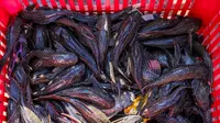 Metro Sepekan: Produsen Makanan di Jakarta Bakal Diawasi Ketat, Ketahuan Pakai Ikan Sapu-Sapu Ditindak
