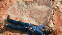 Jejak kaki dinosaurus terbesar ditemukan di Waldany, Australia (University of Queensland)
