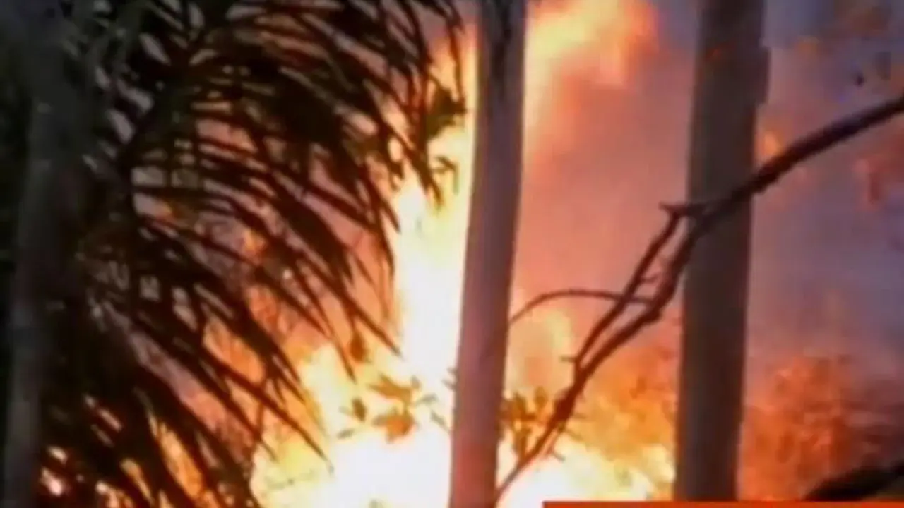 Lereng Merapi Terbakar hingga Ekskul Musik Keroncong