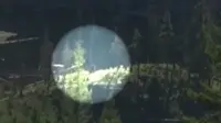 Tabrak Trotoar Jalan, Pengemudi Mengaku Lihat `Monster` Bigfoot