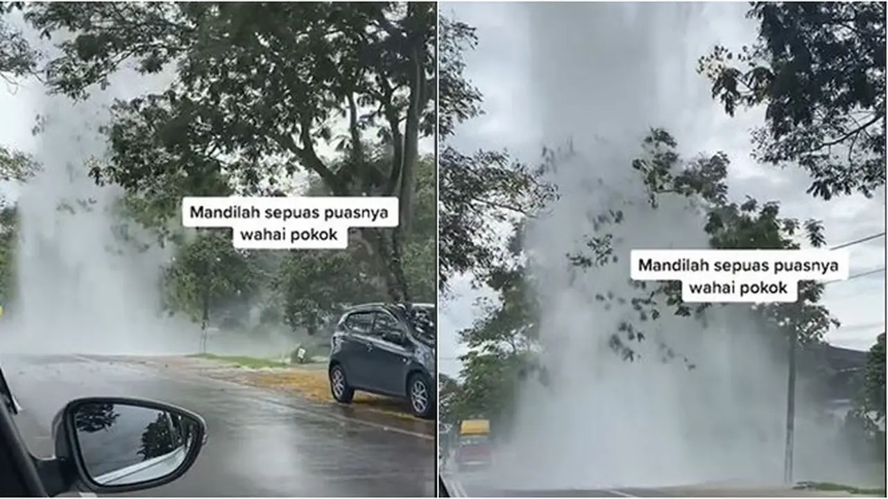 Dikira Kejadian Alam, Pria Ini Rekam Penampakan Pohon Bak Diguyur Air dari Langit