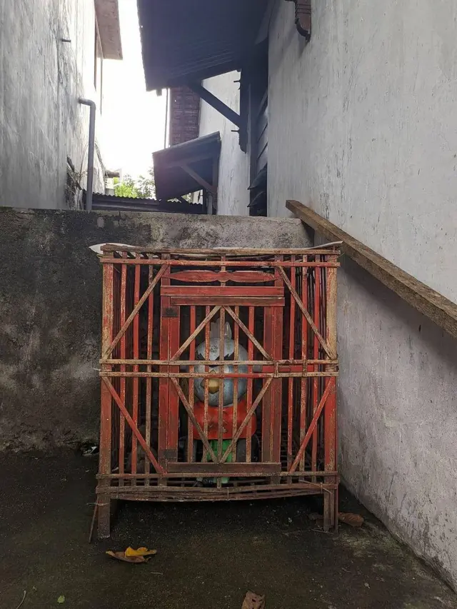 6 Tempat Simpan Mainan di Kandang Hewan Ini Bikin Tepuk Jidat