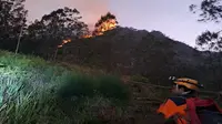 Kebakaran hutan di kawasan Gunung Panderman Kota Batu pada Selasa, 21 November 2023 (Dok BPBD Kota Batu)