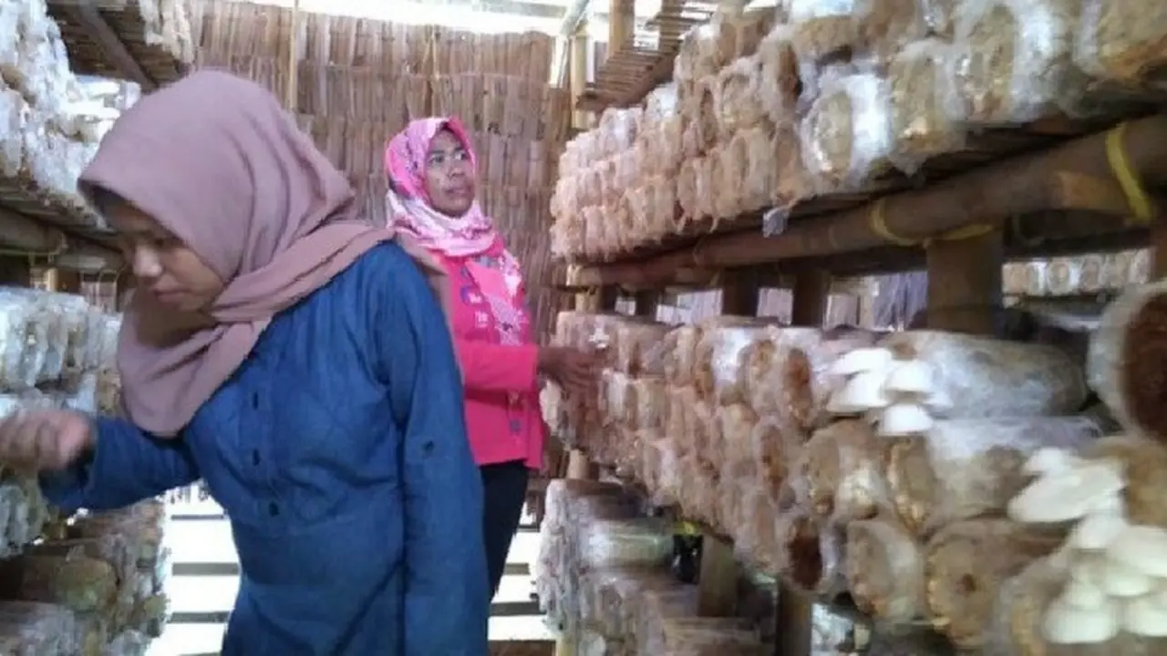 Mardiana Sukses Meraup Pundi-pundi Uang Dari Jamur. (Foto: Merdeka.com)