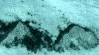 Citra Google Earth yang menunjukkan dua piramida di dasar laut Kepulauan Bahama (Google Earth/SecureTeam10)