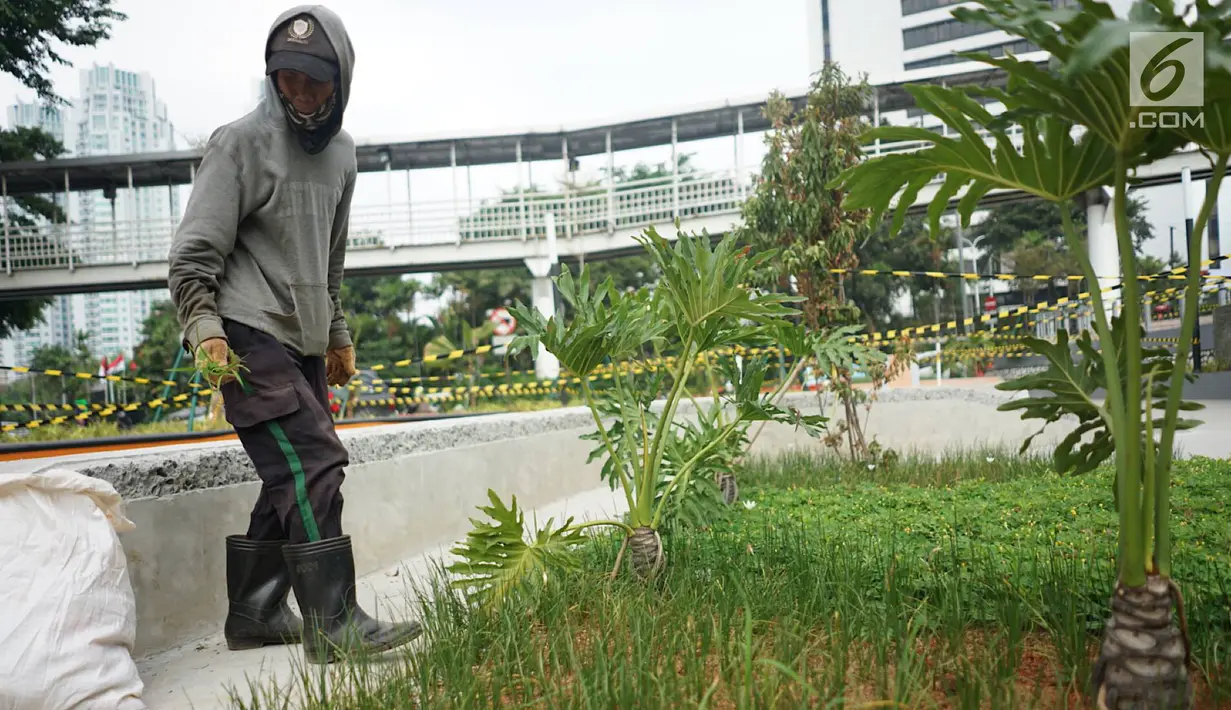Pekerja menyelesaikan proyek pembangunan Taman Dukuh Atas di Jalan Jenderal Sudirman, Jakarta, Jumat (2/8/2019). Pembangunan ruang terbuka baru di Dukuh Atas sebagai bagian dari penataan koridor Sudirman-Thamrin yang dilengkapi sarana olahraga dan anjungan pandang. (Liputan6.com/Immanuel Antonius)