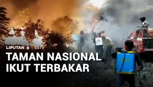 Taman Nasional Ikut Terbakar