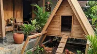 Cara Ternak Ayam Kate untuk Pemula agar Cepat Berkembang dan Menguntungkan