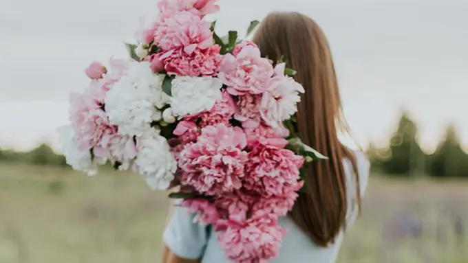 Ilustrasi./Copyright unsplash.com