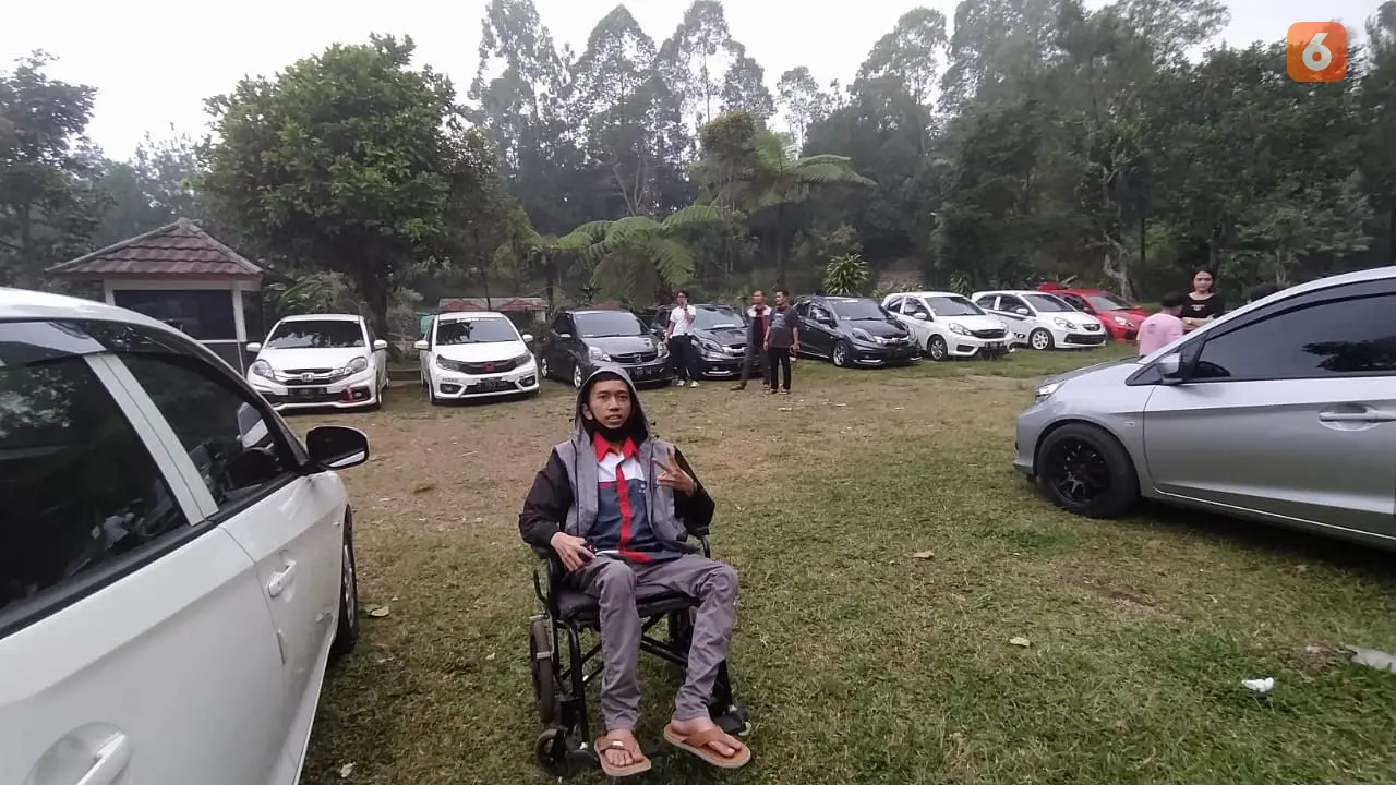 Disabilitas mengemudi