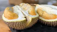 Arti Warna Duri pada Kulit Durian, Penanda Matang atau Varietas?