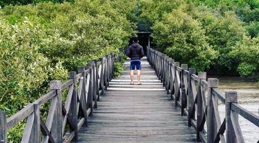 Pantai Bentar Cantik Pesisir Dan Hutan Mangrove Di