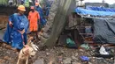 Petugas penyelamat menggunakan anjing mencari korban di lokasi runtuhnya tembok di Mumbai, India (2/7/2019). Tragedi tersebut terjadi ketika pemukiman pantai yang dipenuhi 20 juta penduduk dihantam hujan lebat selama dua hari berturut-turut, membuat kota terhenti total. (AFP Photo/Punit Paranjpe)