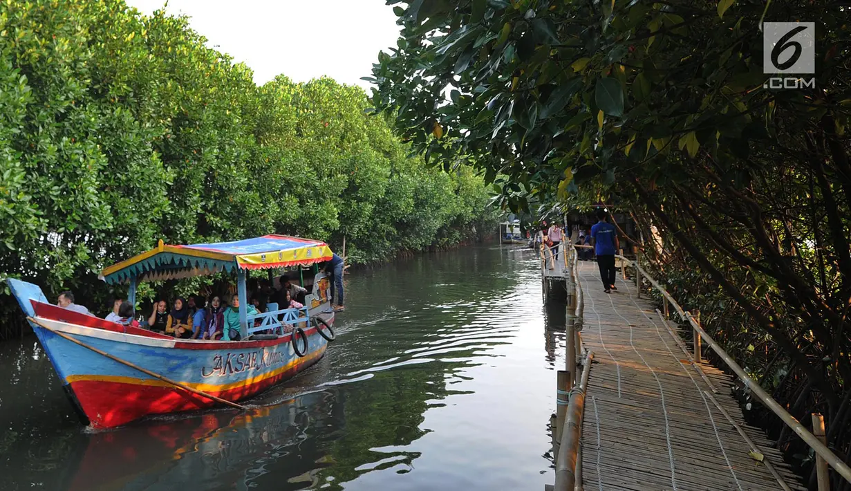 Perahu wisatawan melewati hutan mangrove di Sungai Rindu, Desa Hurip Jaya, Babelan, Bekasi, Jumat (7/6/2019). Berkeliling naik perahu melewati kawasan hutan mangrove di Sungai Rindu ini menjadi daya tarik para wisatawan lokal. (merdeka.com/Arie Basuki)