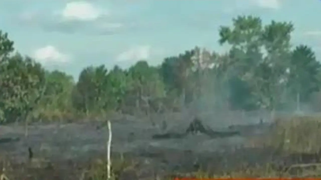 Kebakaran Hutan dan Lahan