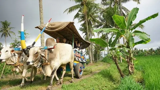 Wulan Guritno liburan di Yogyakarta (Instagram/wulanguritno)