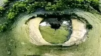 Ilusi Optik Mata (Ilustrasi Timesofindia)
