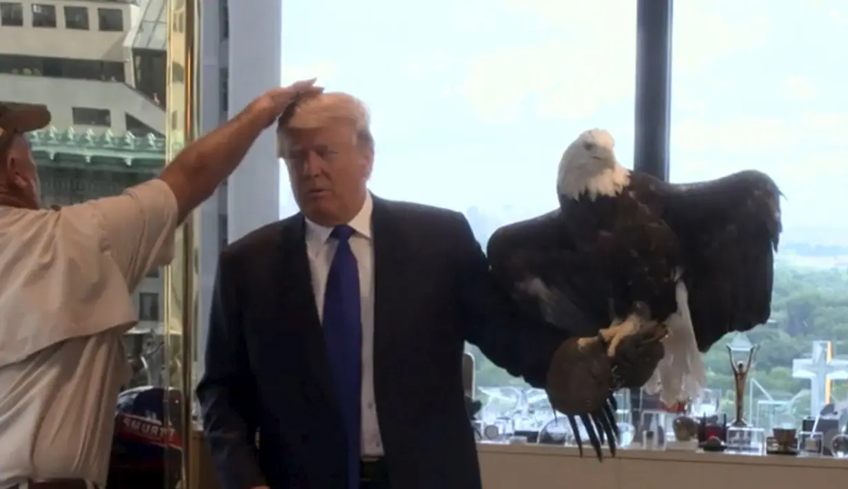 Salah satu kru merapikan rambut kandidat calon presiden AS, Donald Trump usai diserang seekor burung elang botak saat sesi pengambilan foto di kantor Majalah TIME untuk nominasi dia sebagai Person of the Year, Kamis (10/12). (REUTERS/TIME Magazine)
