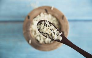 kutu beras merupakan hama. credits: freepik