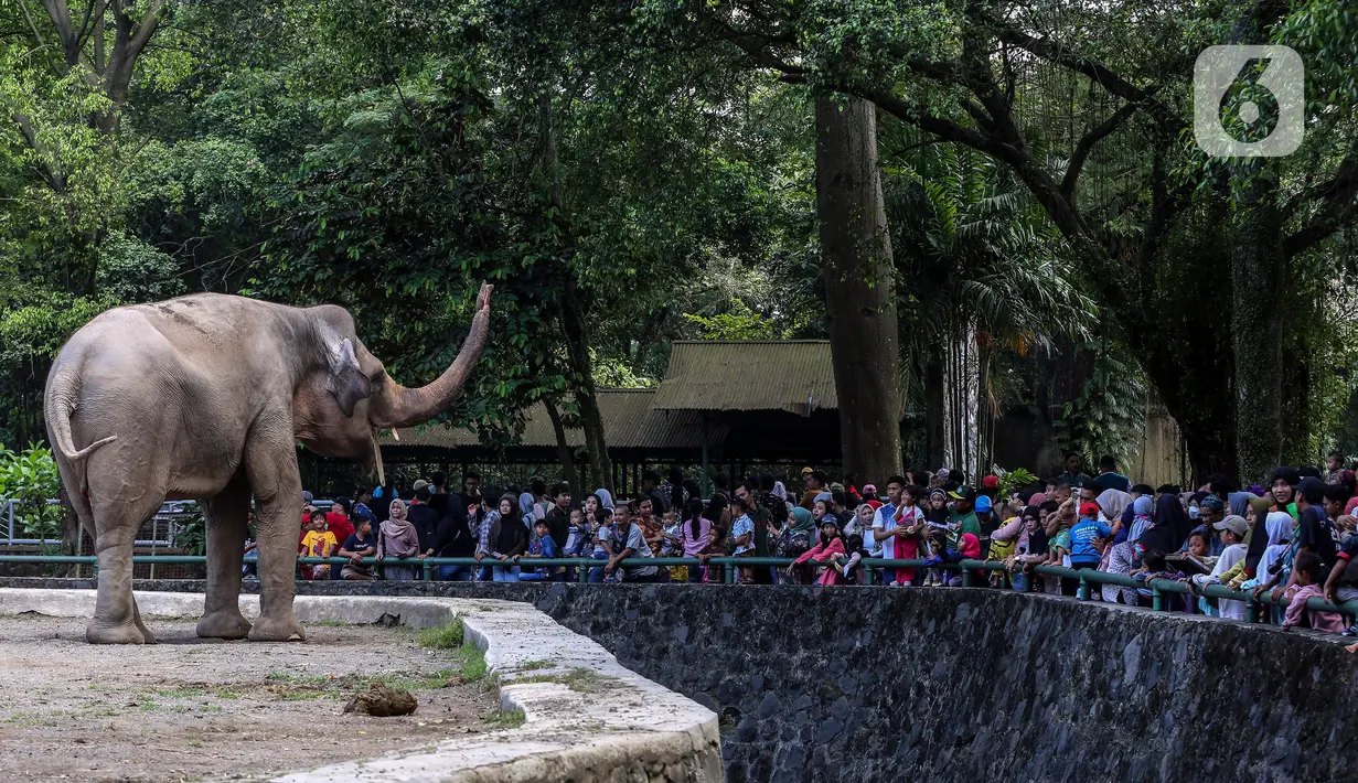 Di dalam Ragunan, terlihat pengunjung memadati area kandang hewan. (Liputan6.com/Johan Tallo)