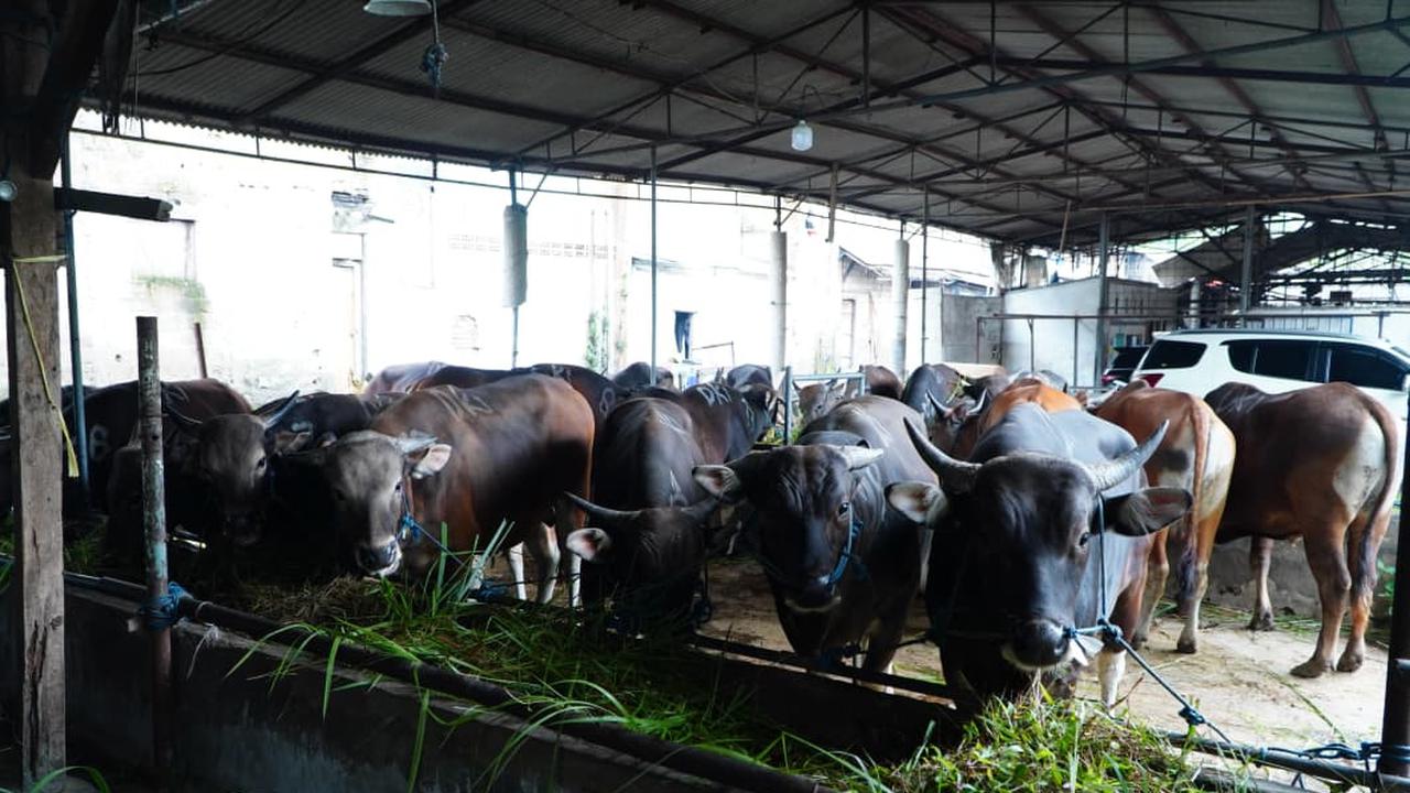 Pemasok Daging Nakal Bakal Kena Sanksi Cabut Izin