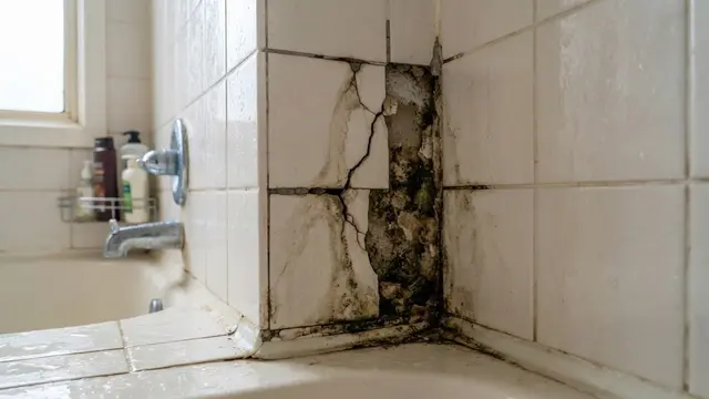 penyebab silikon kamar mandi berjamur