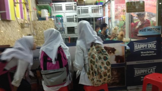 Cuci mata di Pet Corner Gajah Mada Plaza, Jakarta Pusat