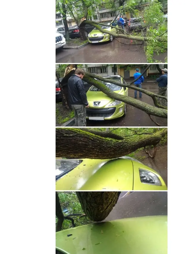 [Bintang] Mukjizat Itu Nyata, 10 Foto Ini Bikin Kamu Nggak Percaya dan Merinding Sendiri Lihatnya!