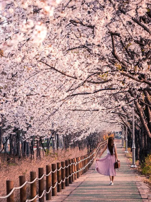 Menjadi Lebih Kreatif